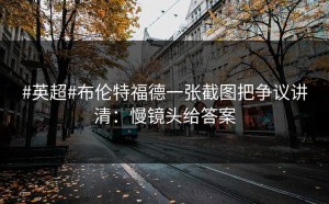#英超#布伦特福德一张截图把争议讲清：慢镜头给答案