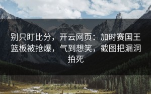 别只盯比分，开云网页：加时赛国王篮板被抢爆，气到想笑，截图把漏洞拍死