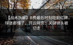 【战术拆解】B费最后时刻吃到红牌，球迷都懂了，开云网页：关键镜头被切走