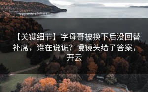 【关键细节】字母哥被换下后没回替补席，谁在说谎？慢镜头给了答案，开云