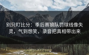 别只盯比分：季后赛狼队罚球线像失灵，气到想笑，录音把真相带出来