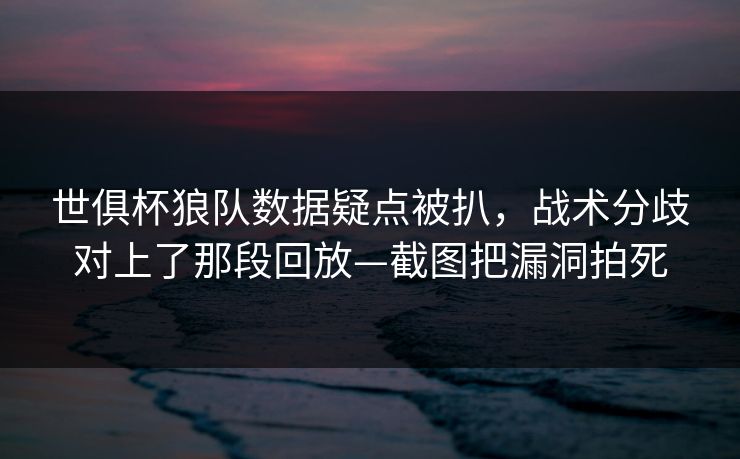 世俱杯狼队数据疑点被扒，战术分歧对上了那段回放—截图把漏洞拍死