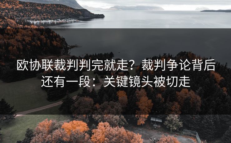 欧协联裁判判完就走？裁判争论背后还有一段：关键镜头被切走